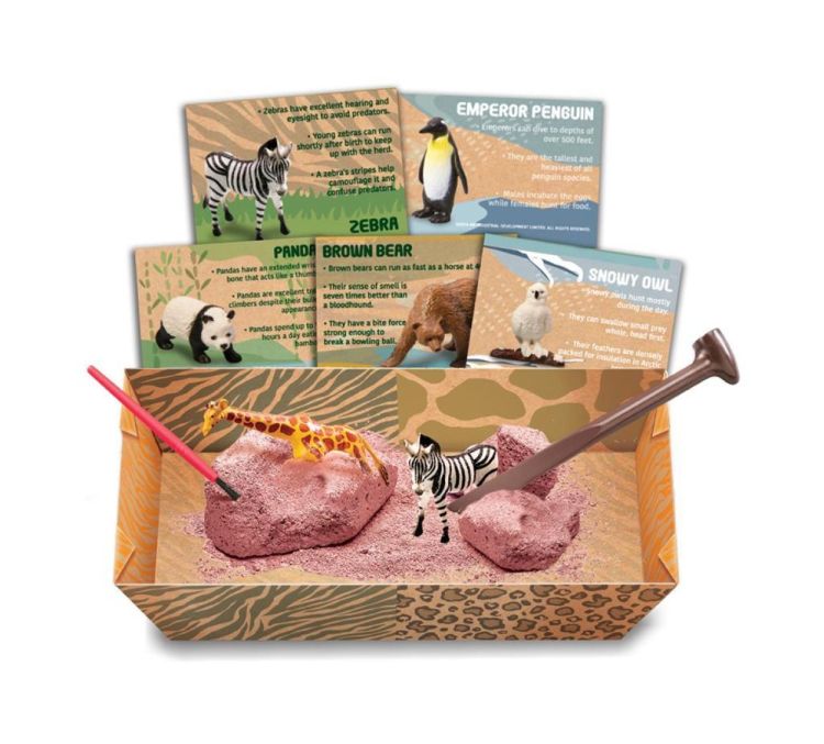 4M Graafset Wilde Dieren (5603481) - SPADT - speelgoed met advies