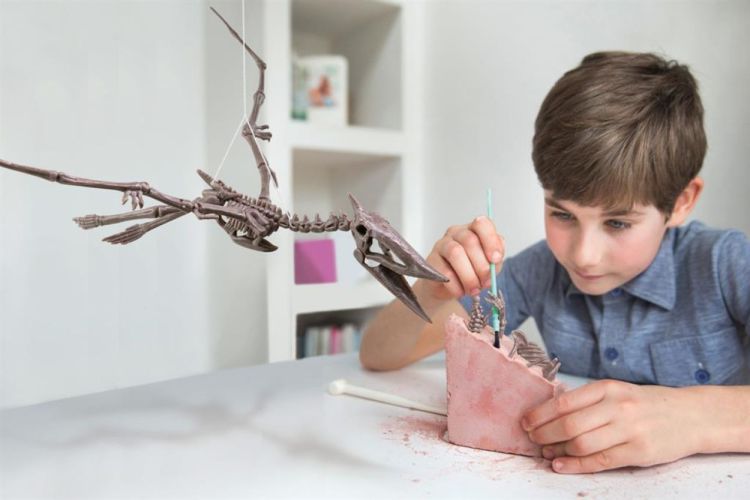 4M Opgraafkit 'Pteranodon' (5603459) - SPADT - speelgoed met advies