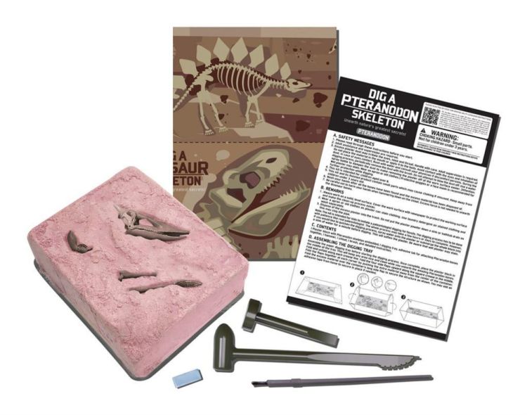 4M Opgraafkit 'Pteranodon' (5603459) - SPADT - speelgoed met advies