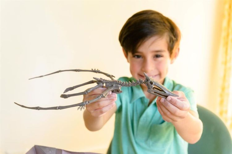 4M Opgraafkit 'Pteranodon' (5603459) - SPADT - speelgoed met advies