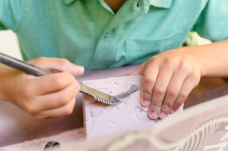 4M Opgraafkit 'Pteranodon' (5603459) - SPADT - speelgoed met advies