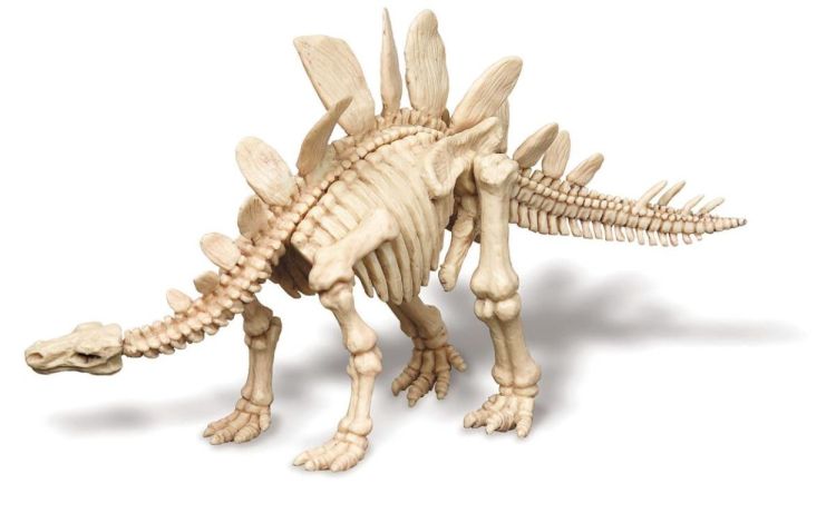 4M Opgraafkit Stegosaurus (5603229) - SPADT - speelgoed met advies