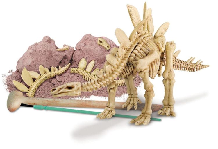 4M Opgraafkit Stegosaurus (5603229) - SPADT - speelgoed met advies