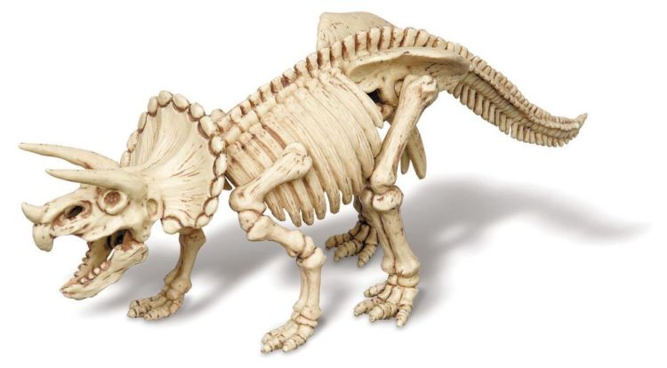 4M Opgraafkit Triceratops (5603228) - SPADT - speelgoed met advies