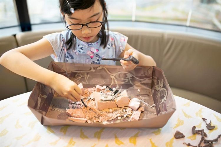 4M Opgraafkit Triceratops (5663228) - SPADT - speelgoed met advies