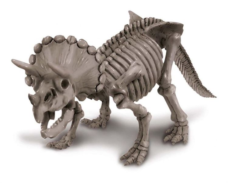 4M Opgraafkit Triceratops (5663228) - SPADT - speelgoed met advies