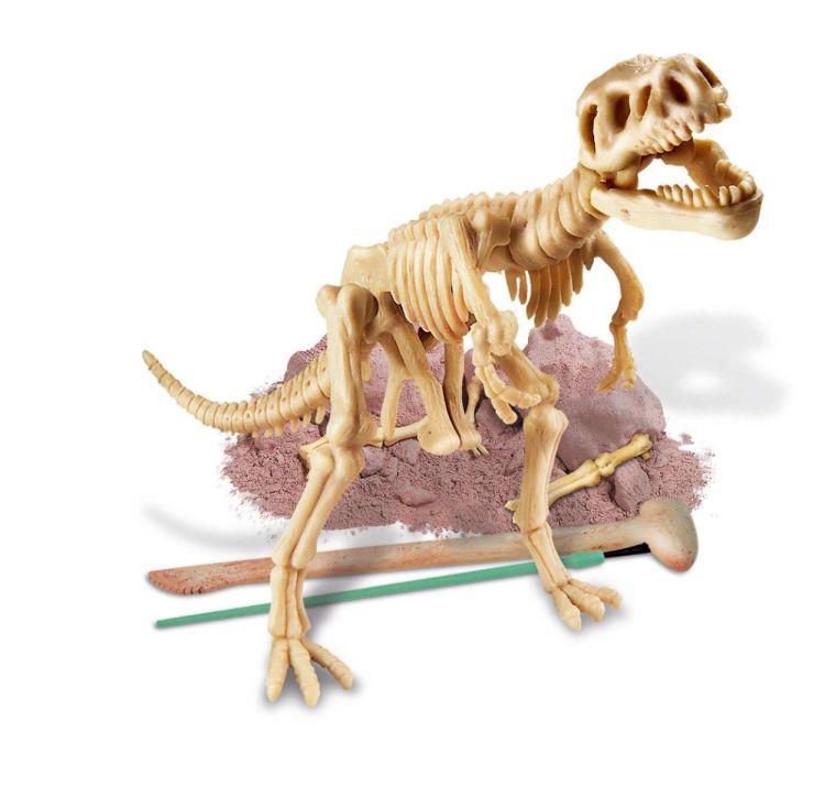 4M Opgraafkit Tyrannosaurus Rex (5603221) - SPADT - speelgoed met advies