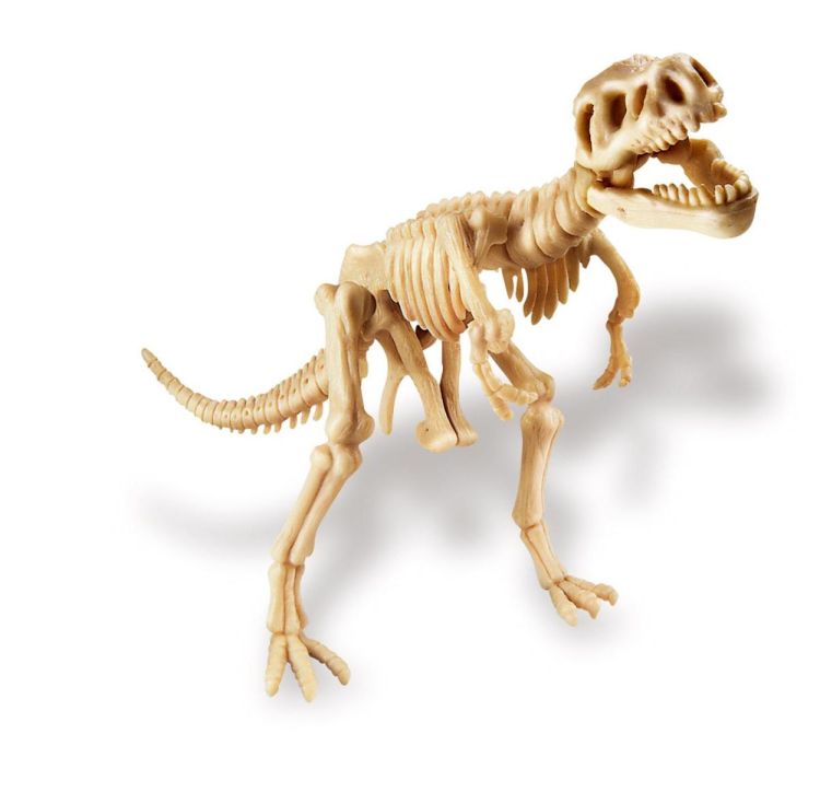 4M Opgraafkit Tyrannosaurus Rex (5603221) - SPADT - speelgoed met advies