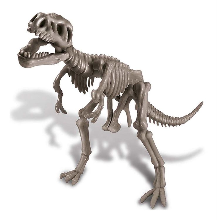 4M Opgraafkit Tyrannosaurus Rex (5663221) - SPADT - speelgoed met advies