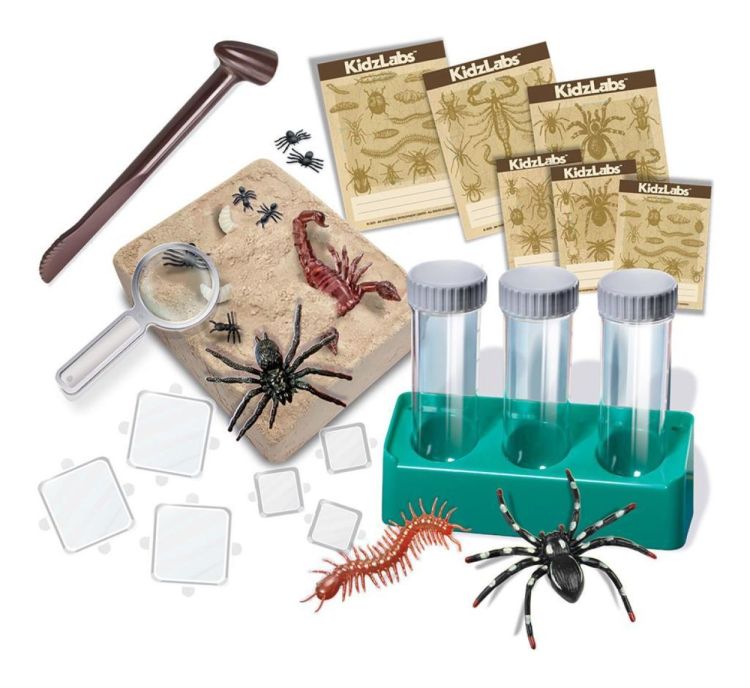 4M Opgraaflabo 'Creepy Crawly' (5603490) - SPADT - speelgoed met advies