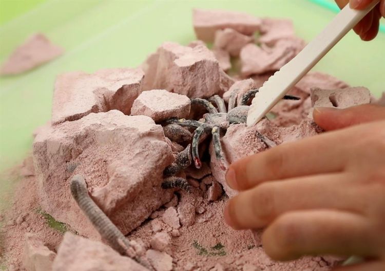 4M Opgraaflabo 'Creepy Crawly' (5603490) - SPADT - speelgoed met advies