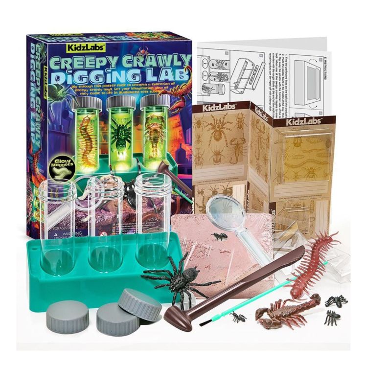 4M Opgraaflabo 'Creepy Crawly' (5603490) - SPADT - speelgoed met advies