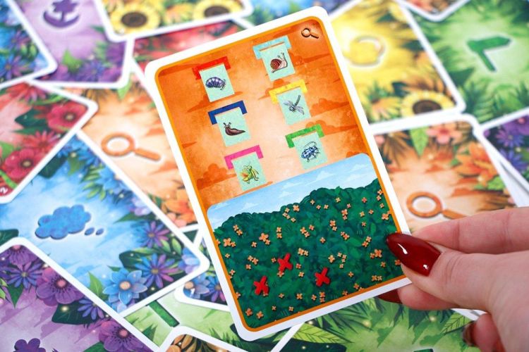 999 Games EXIT Kids Raadselplezier in de Weide (999-EXI32) - SPADT - speelgoed met advies