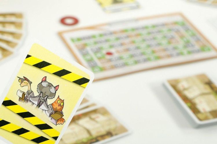 999 Games Schrödinger's Katten (999-SCH01) - SPADT - speelgoed met advies