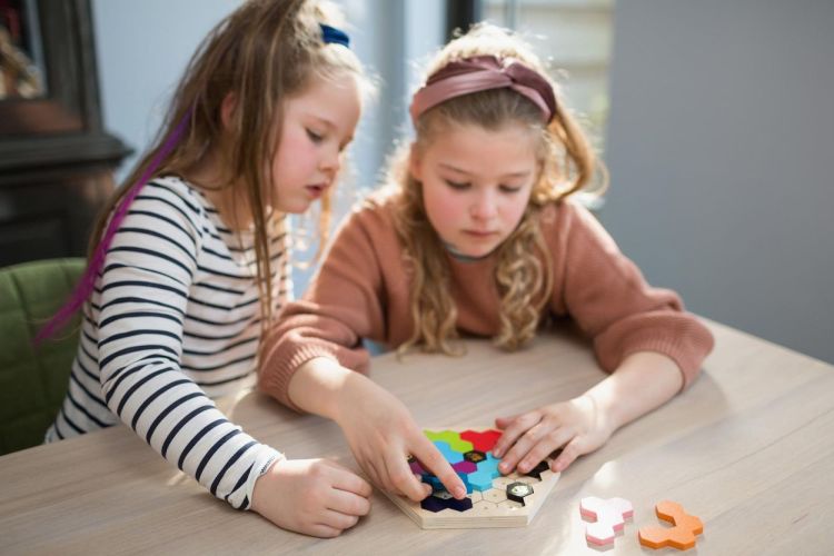 BS Toys Puzzzle Beezzz (ga346) - SPADT - speelgoed met advies