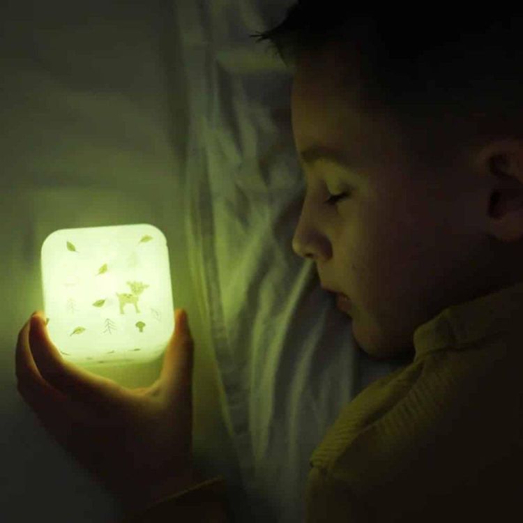 Cloud-B Cube B Nachtlampje Bos (CLB-CUBEB-FOR) - SPADT - speelgoed met advies
