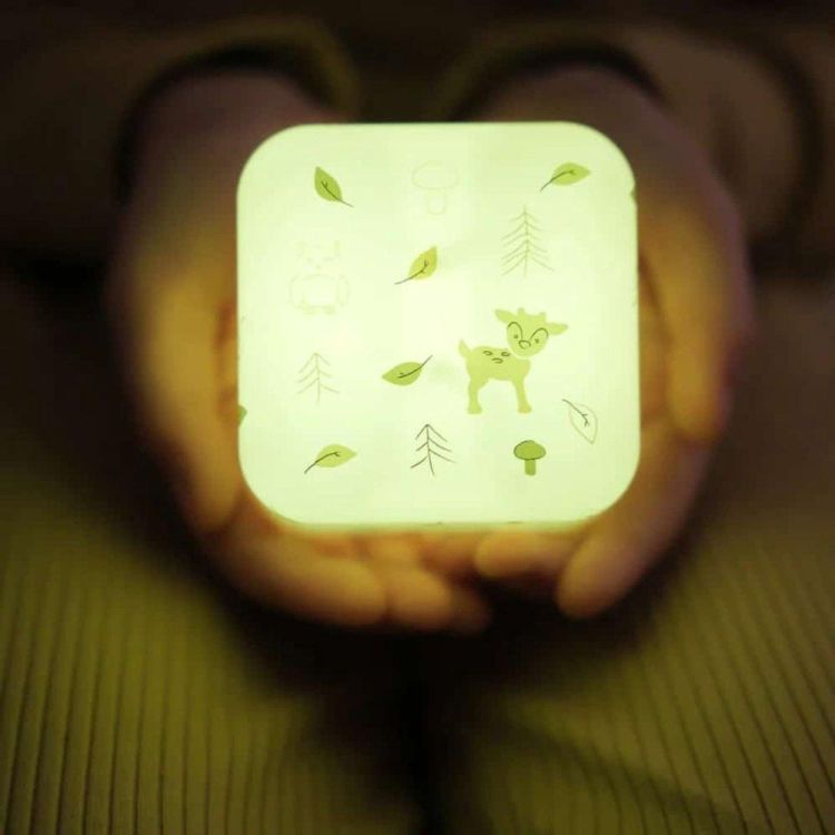 Cloud-B Cube B Nachtlampje Bos (CLB-CUBEB-FOR) - SPADT - speelgoed met advies