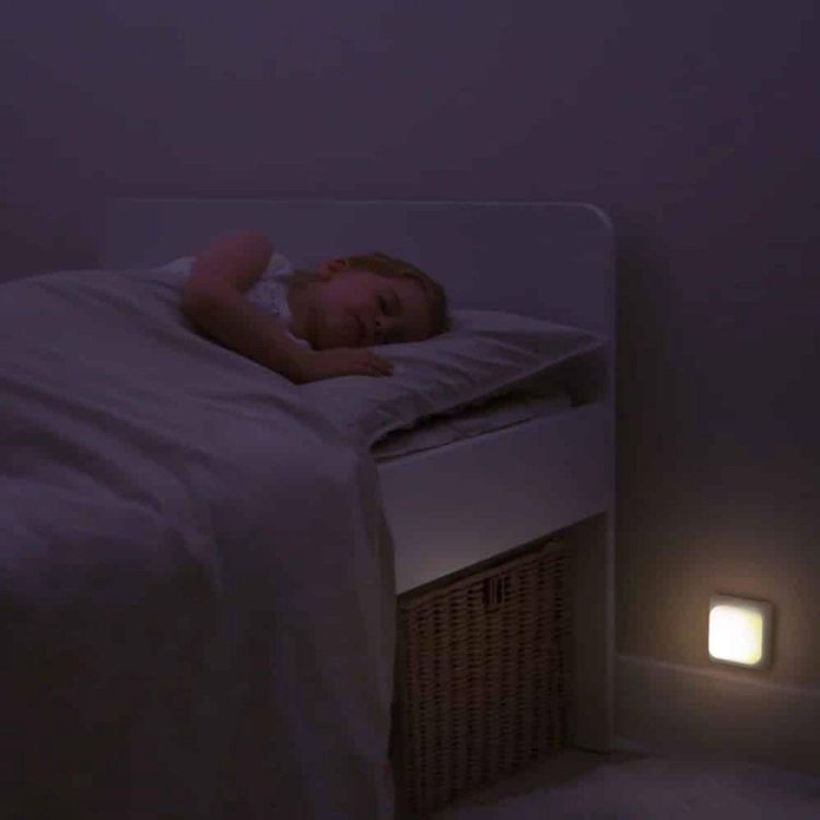 Cloud-B Cube B Nachtlampje Bos (CLB-CUBEB-FOR) - SPADT - speelgoed met advies