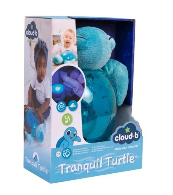 Cloud-B Tranquil Turtle 'Aqua' (CLB-REC-TURTLE-AQ) - SPADT - speelgoed met advies