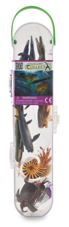 Collecta Mini 'Set met 12 Prehistorische Zeedieren' (3389104) - SPADT - speelgoed met advies