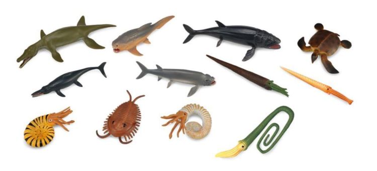 Collecta Mini 'Set met 12 Prehistorische Zeedieren' (3389104) - SPADT - speelgoed met advies