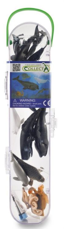 Collecta Mini 'Set met 12 Zeedieren (3389108) - SPADT - speelgoed met advies