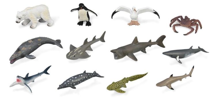 Collecta Mini 'Set met 12 Zeedieren (3389115) - SPADT - speelgoed met advies