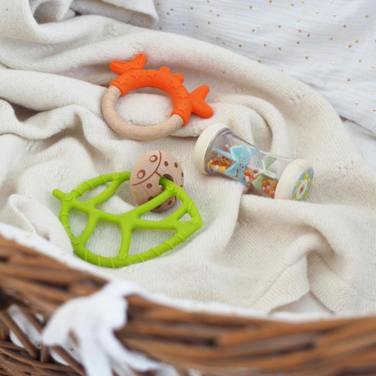 Djeco Babyset 'Rammelaars' (dj06138) - SPADT - speelgoed met advies