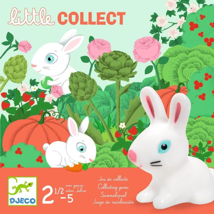 Djeco Little Collect (dj08558) - SPADT - speelgoed met advies