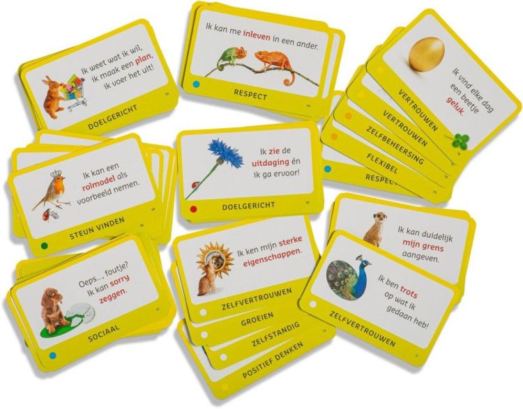 Dubbelzes Okidootjes Veerkracht (BRI-OKI) - SPADT - speelgoed met advies