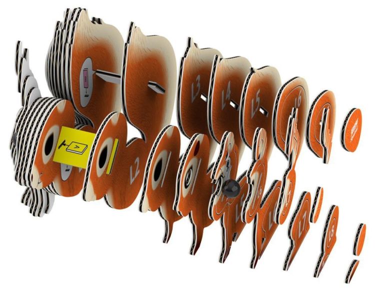 Eugy Eugy 3D Model 'Bosdier/Eekhoorn' (5313907) - SPADT - speelgoed met advies