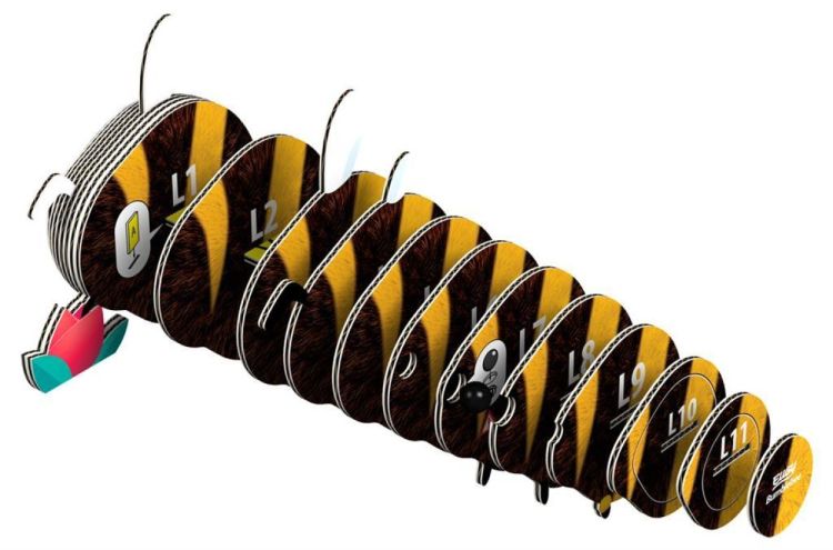 Eugy Eugy 3D Model 'Bosdier/Hommel' (5313973) - SPADT - speelgoed met advies