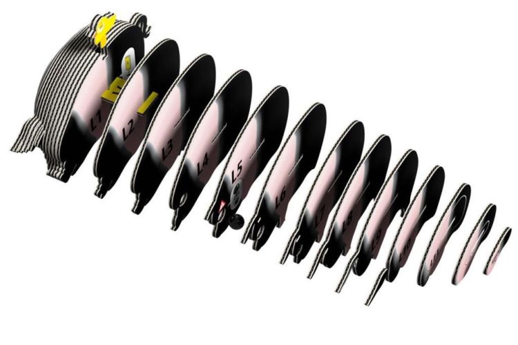 Eugy Eugy 3D Model 'Wild Dier/Varken' (5314128) - SPADT - speelgoed met advies