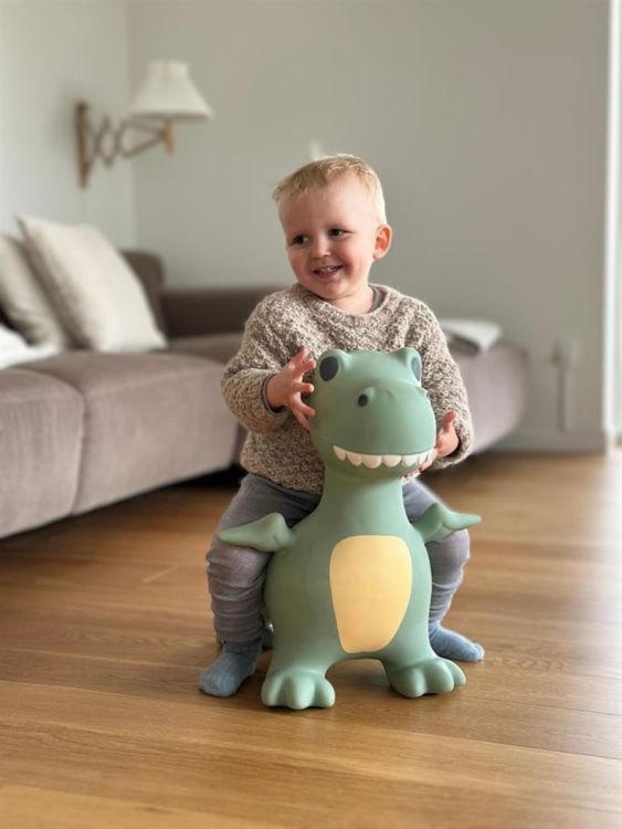 Find that Hippo Springdier Dino Dexter (1740116) - SPADT - speelgoed met advies