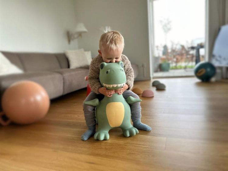 Find that Hippo Springdier Dino Dexter (1740116) - SPADT - speelgoed met advies