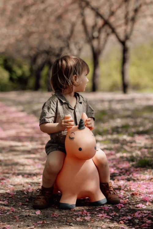 Find that Hippo Springdier Eenhoorn Luna (1740115) - SPADT - speelgoed met advies