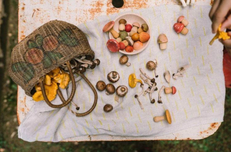 Grapat Mushroom Grove (26-284) - SPADT - speelgoed met advies