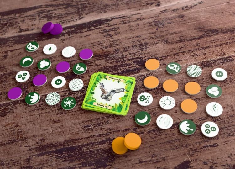 Haba Dieren van de Wereld Bingo (2012719002) - SPADT - speelgoed met advies