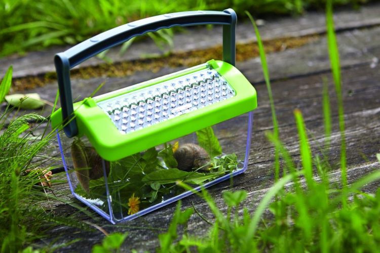 Haba Insectendoos Terra Kids (301513) - SPADT - speelgoed met advies