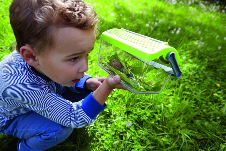 Haba Insectendoos Terra Kids (301513) - SPADT - speelgoed met advies