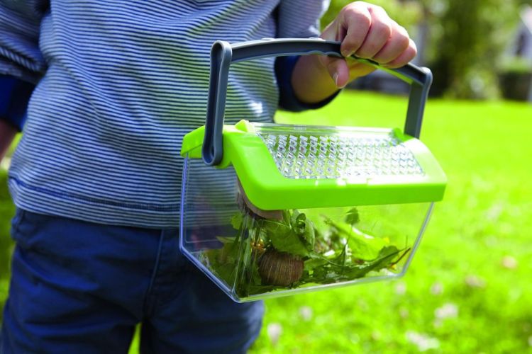 Haba Insectendoos Terra Kids (301513) - SPADT - speelgoed met advies