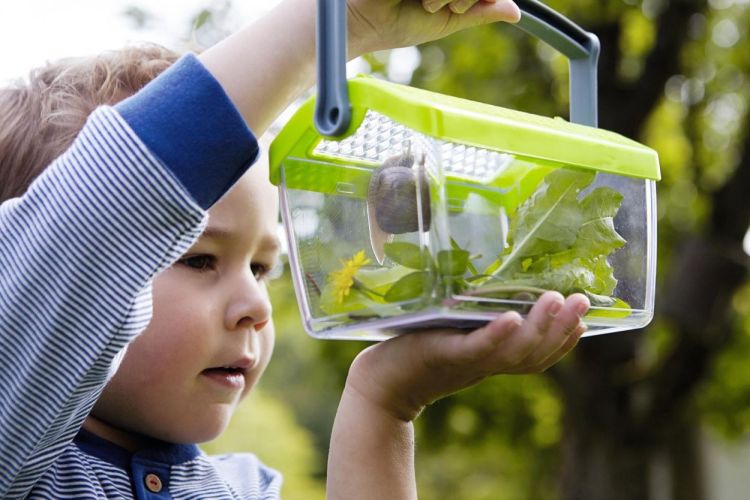 Haba Insectendoos Terra Kids (301513) - SPADT - speelgoed met advies