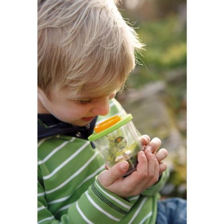 Haba Insectendoosje Terra Kids (1005241001) - SPADT - speelgoed met advies