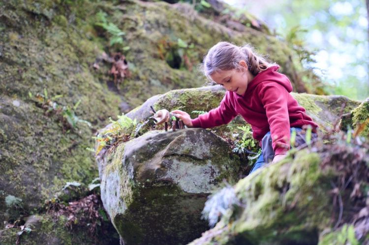 Haba Terra Kids Connectors 'Dinosaurussen' (306309) - SPADT - speelgoed met advies