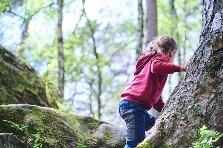 Haba Terra Kids Connectors 'Dinosaurussen' (306309) - SPADT - speelgoed met advies