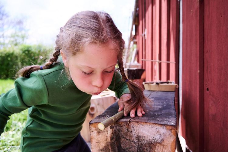 Haba Terra Kids Kinderzakmes (306312) - SPADT - speelgoed met advies