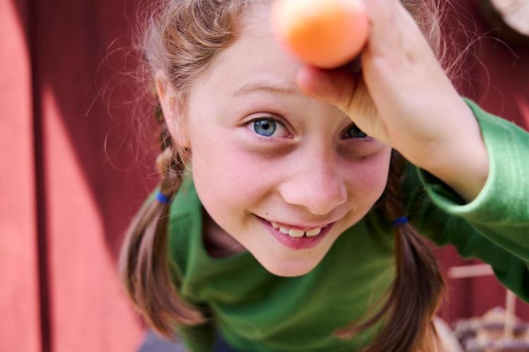 Haba Terra Kids Kinderzakmes (1306312001) - SPADT - speelgoed met advies