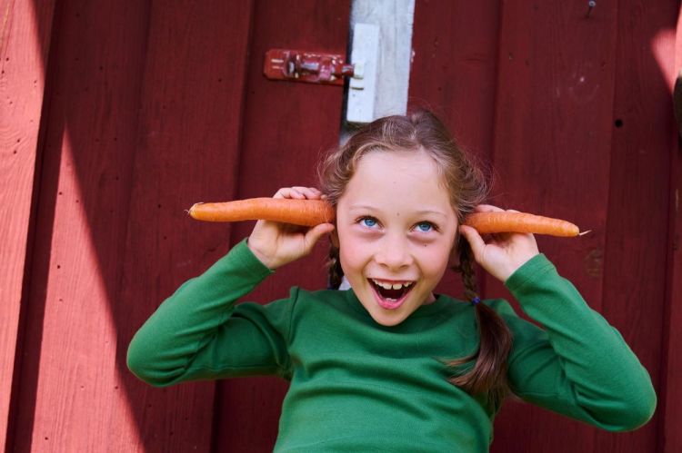 Haba Terra Kids Kinderzakmes (1306312001) - SPADT - speelgoed met advies