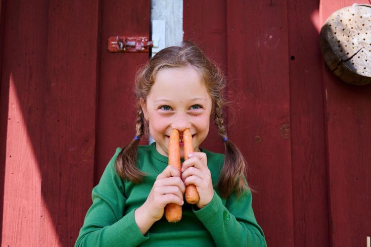 Haba Terra Kids Kinderzakmes (1306312001) - SPADT - speelgoed met advies