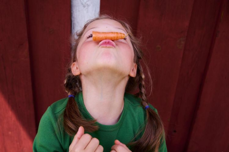 Haba Terra Kids Kinderzakmes (1306312001) - SPADT - speelgoed met advies